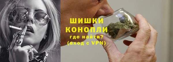 гидра Богородск