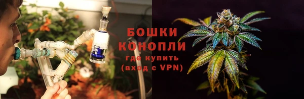 гидра Богородск