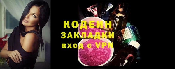 гидра Богородск