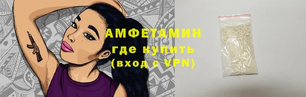 гидра Богородск