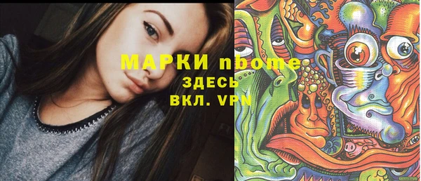 гидра Богородск