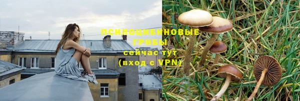 крисы Богданович