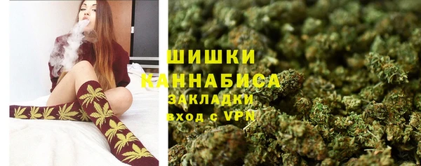 гидра Богородск