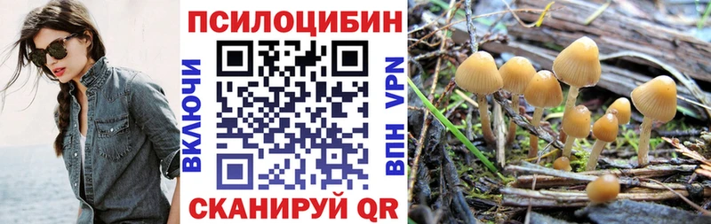 ссылка на мегу маркетплейс  Купино  Псилоцибиновые грибы мухоморы 